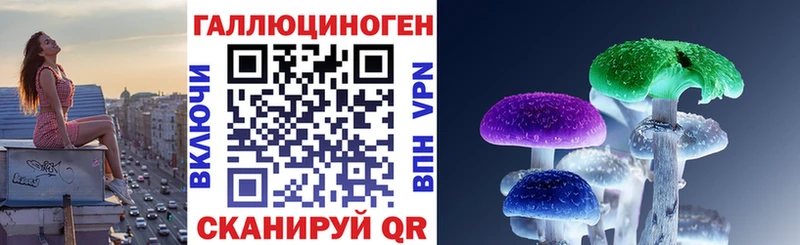 Галлюциногенные грибы Psilocybine cubensis  Купить где  Петровск-Забайкальский 